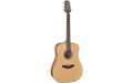 GUITARRA TAKAMINE GD20 DREADNOUGHT - SATIN NATURAL TAKAMINE